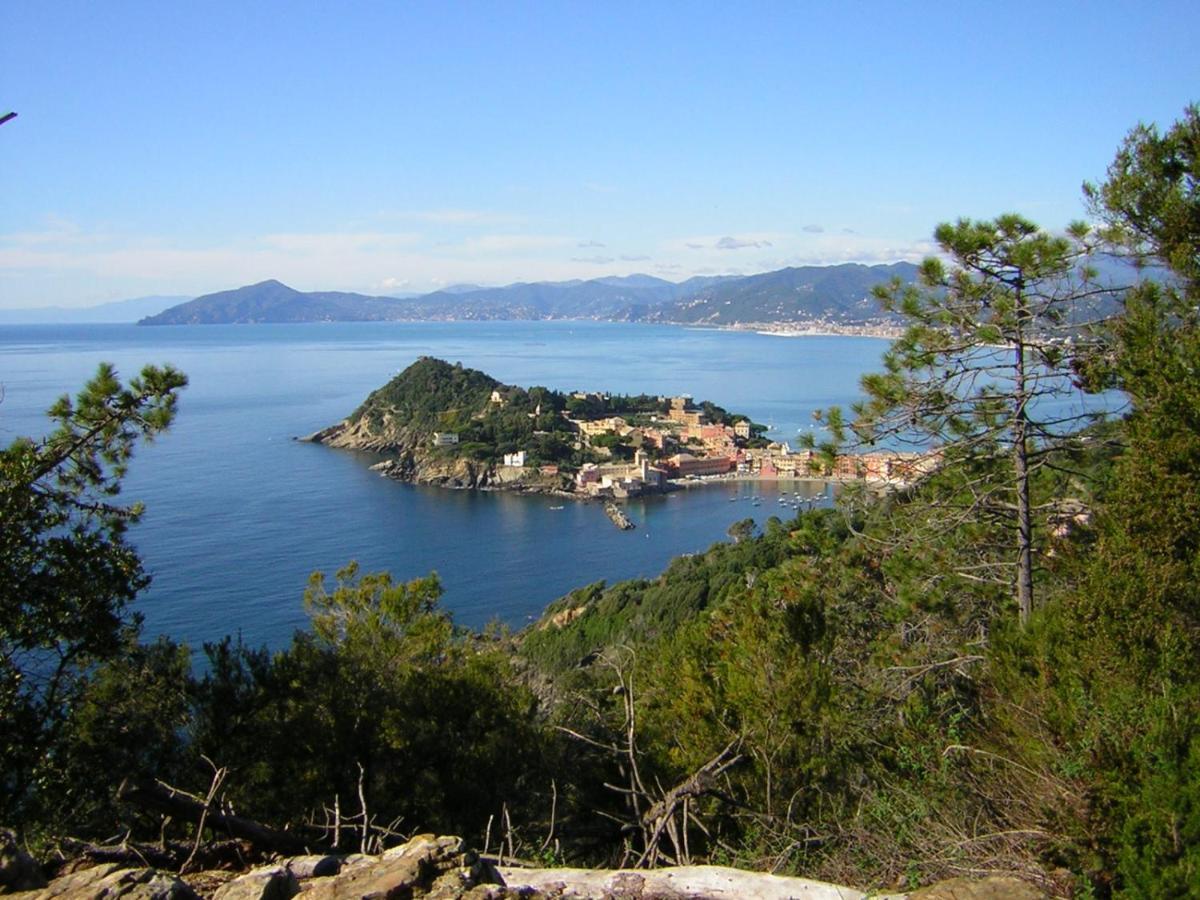 Centrale Nel Verde Int 1 Sestri Levante Buitenkant foto